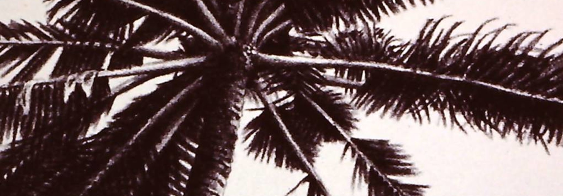 Ken Pattern Pohon Kelapa I Malaspina Printmakers
