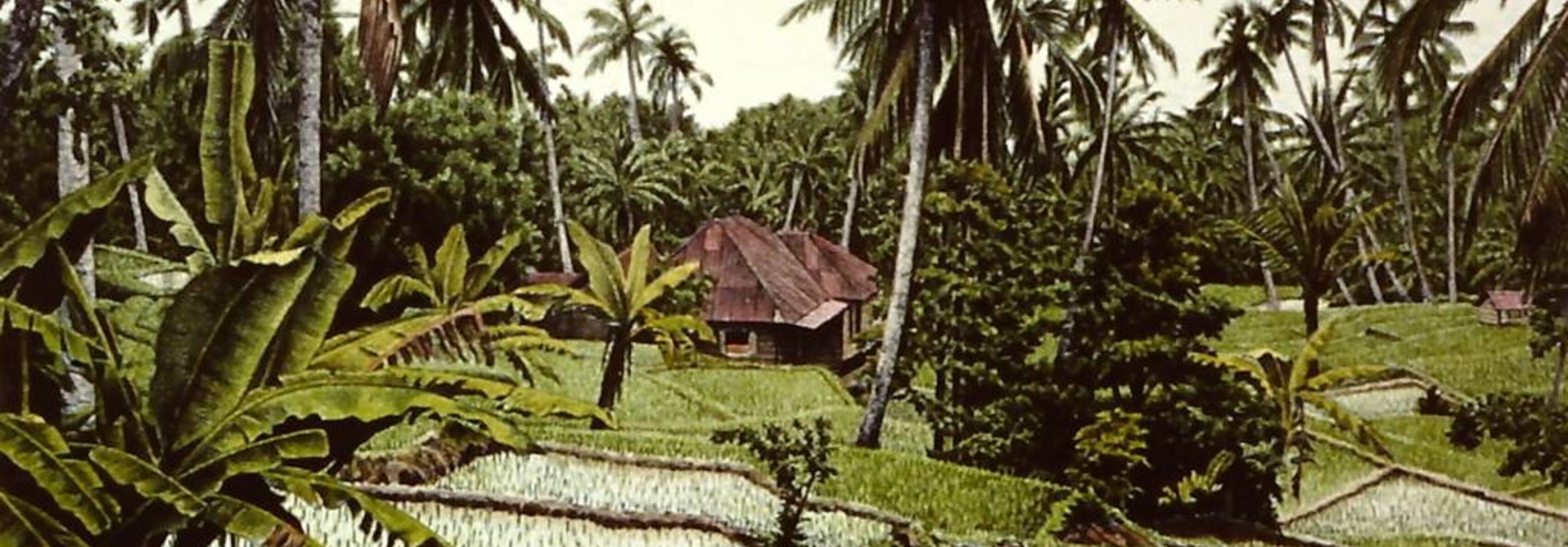 Danau Maninjau