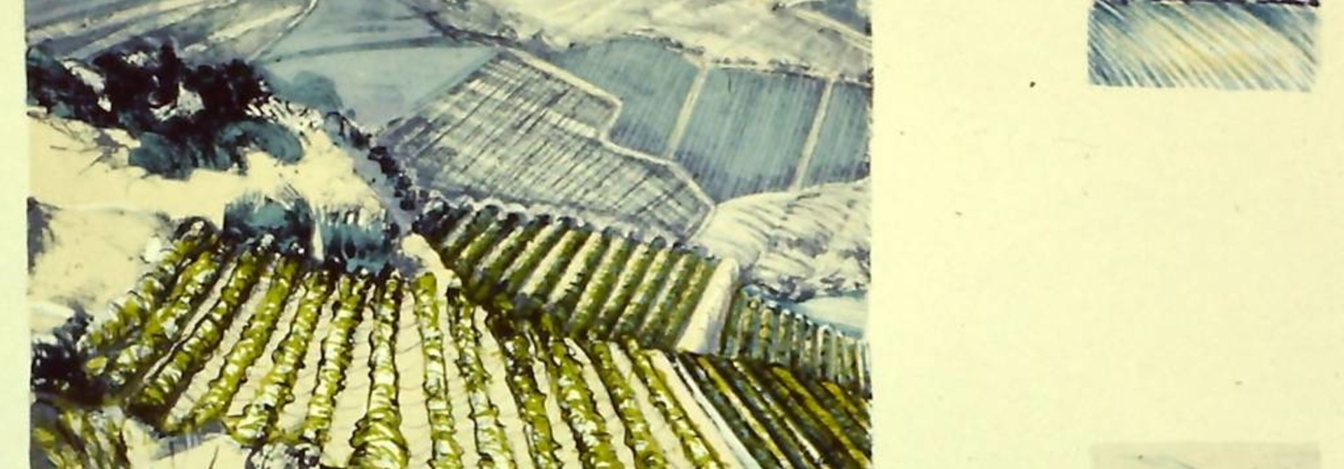 Douro Montanhas