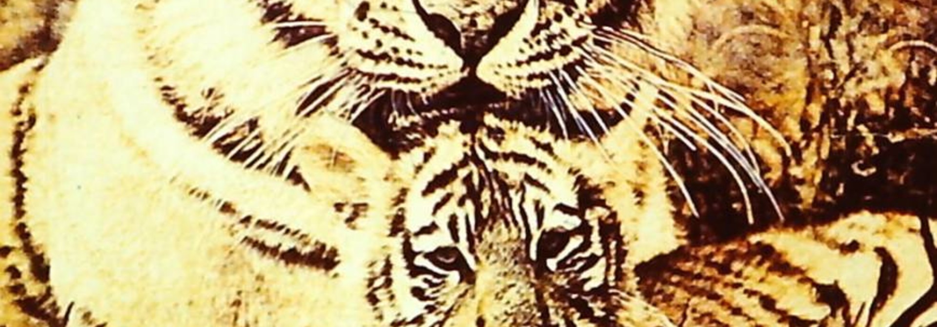 Primary Tigers