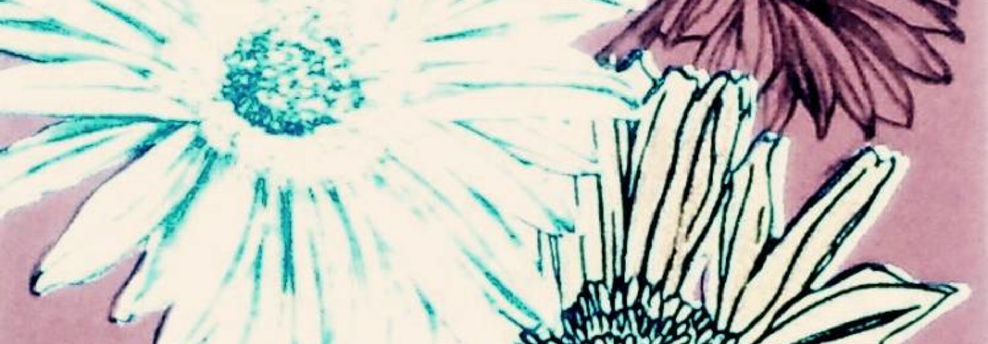 Chrysanthemum Series
