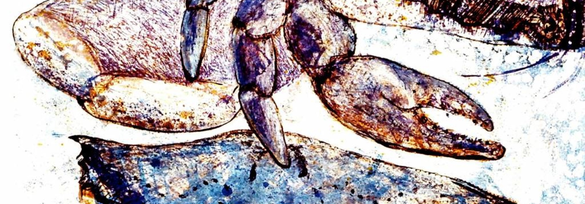 Fourth Crab