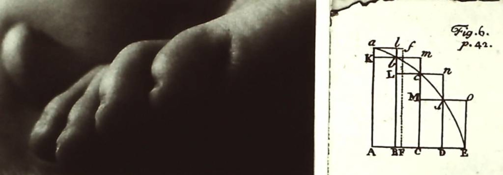 Inscribed and Circumscribed