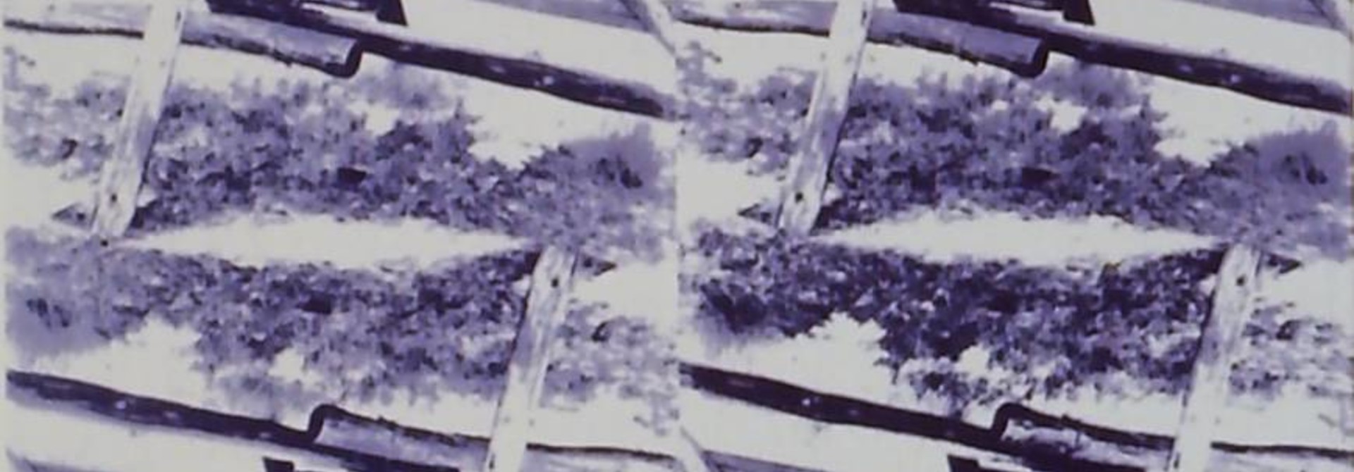 Cariboo Fence