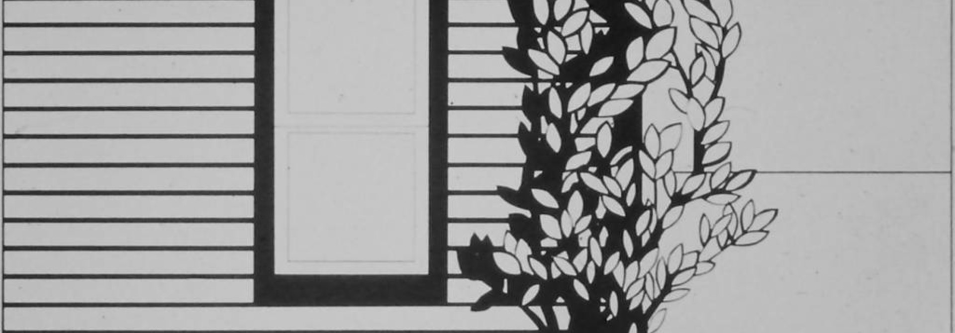 A Confusion of Form and Shadow