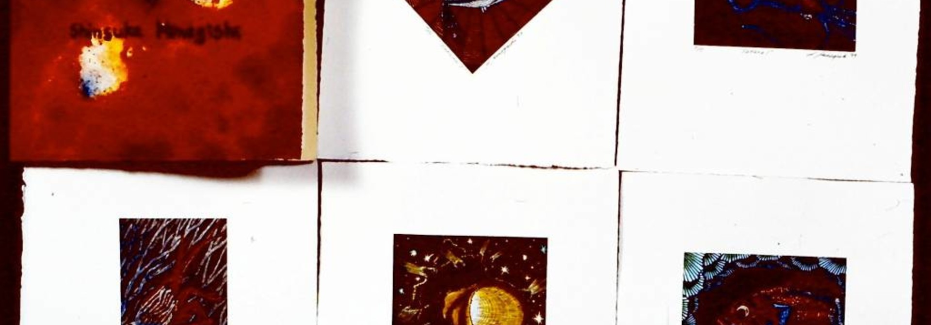Sakana (book)