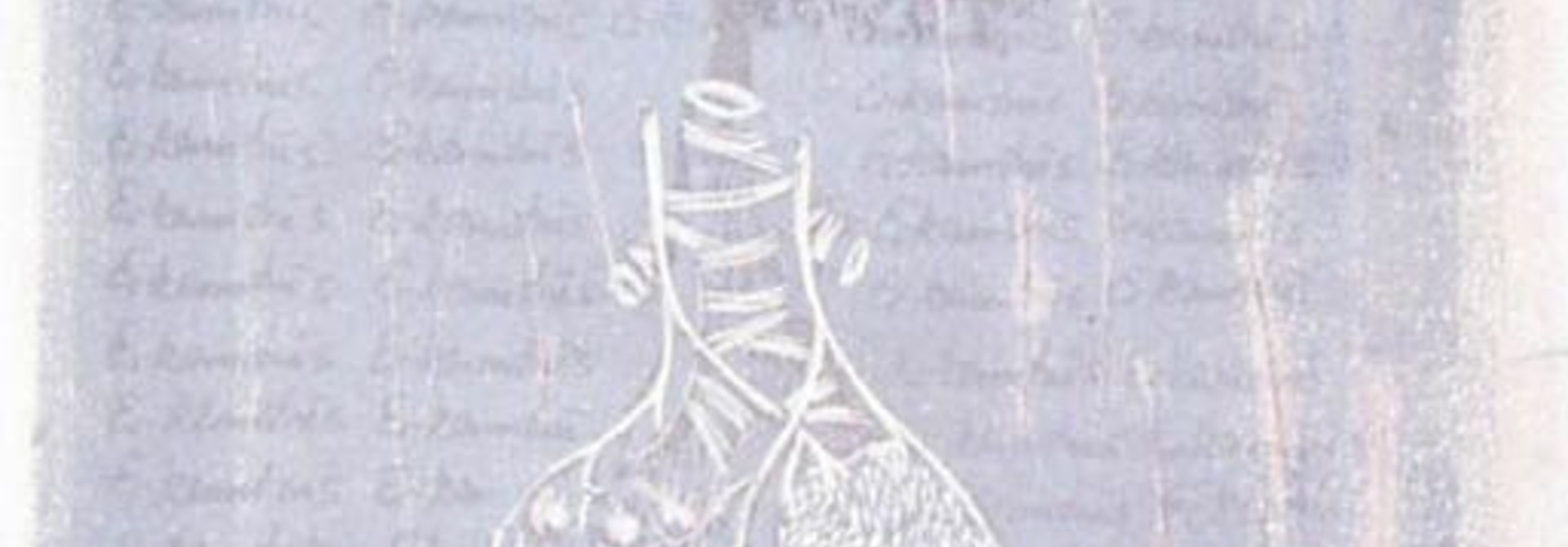 Human Anatomy (Erkenatuis)