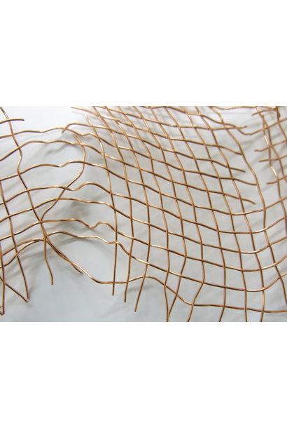 “Extract, Form, and Print”, Ruth Beer