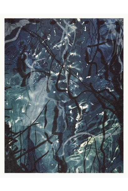 “Source: New Prints”, Liz Ingram