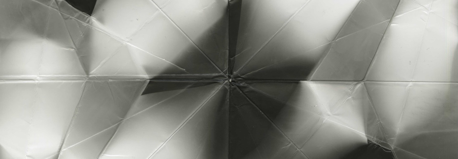 Crane_1_vi