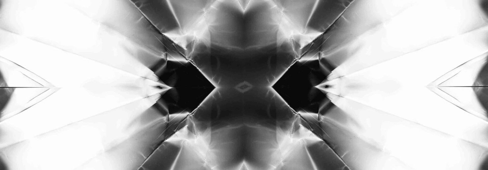 Leaf_1_vi
