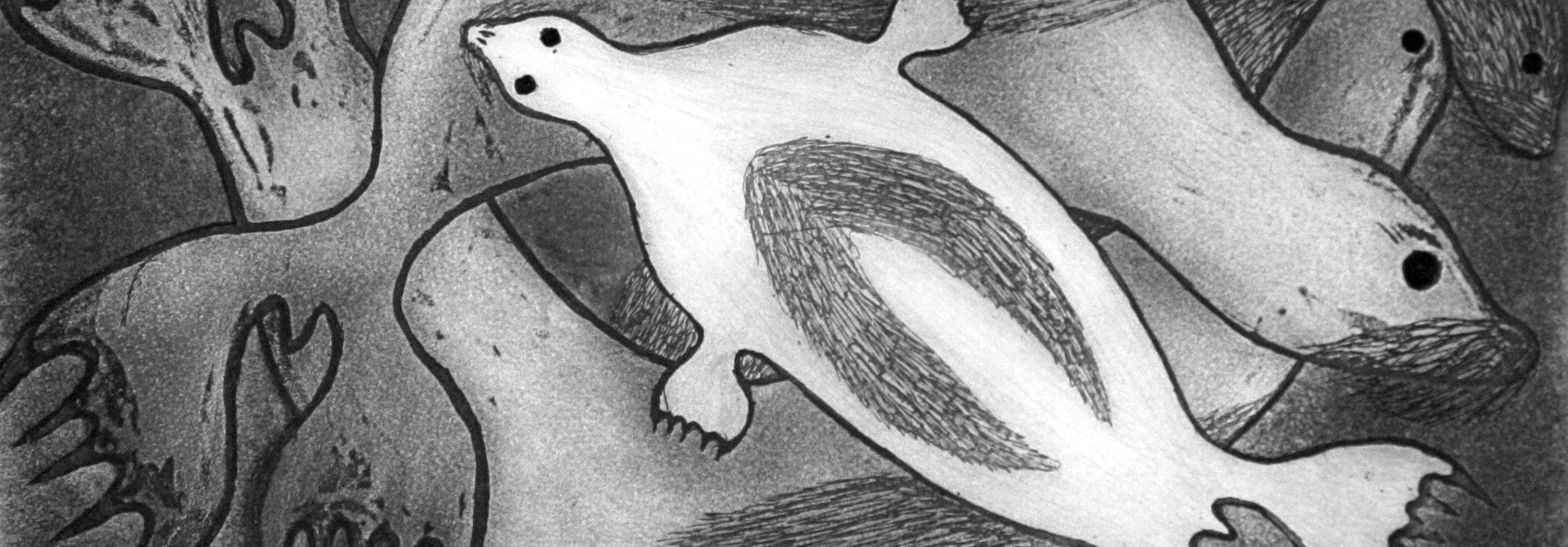 Harp Seals (Glyde River)