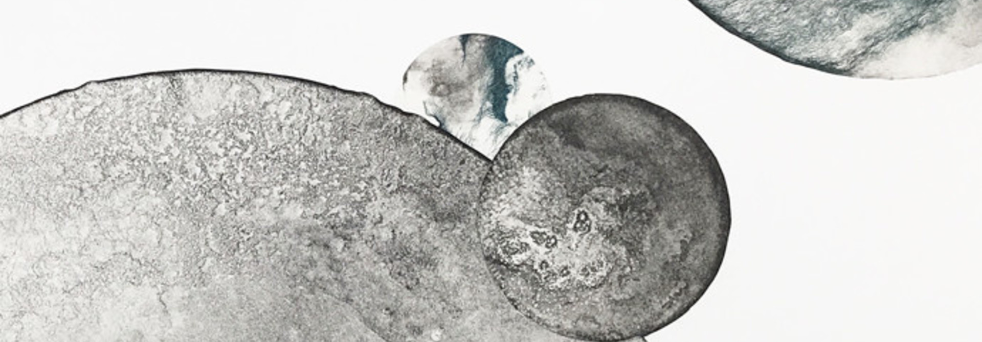 Cosmos