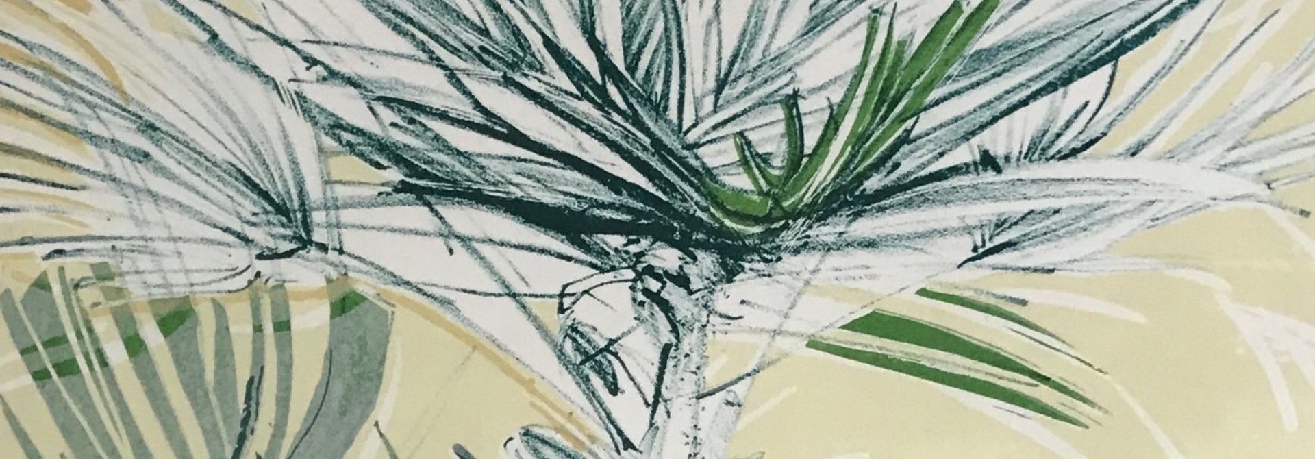The Palm