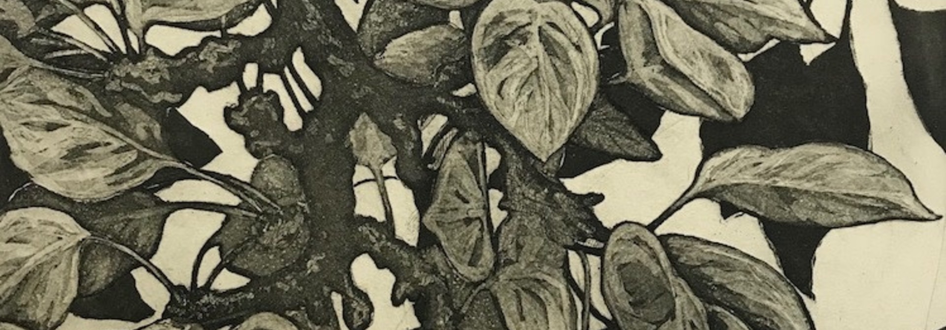 Pear no.4