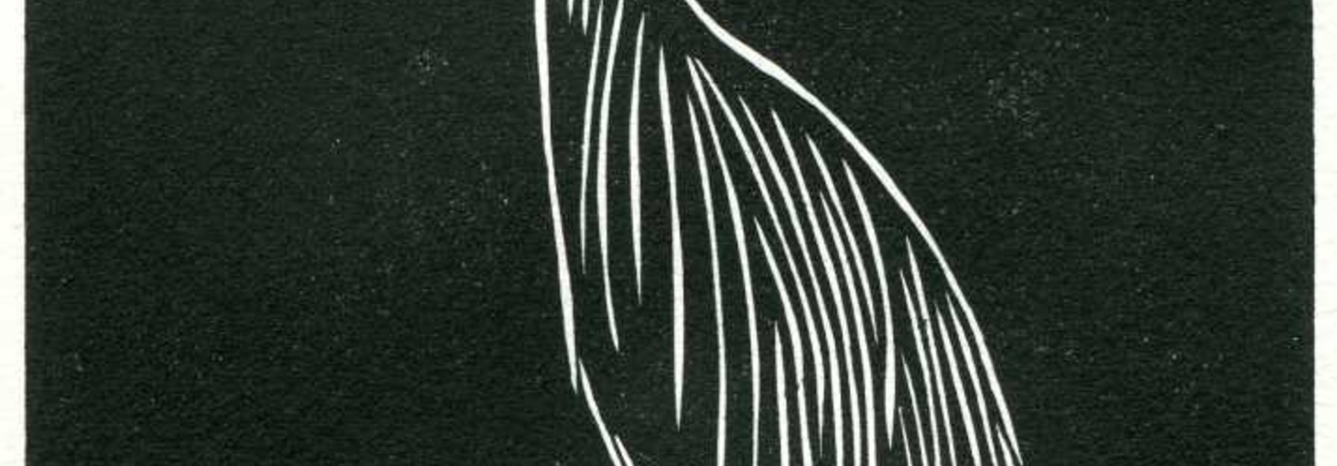 Heron