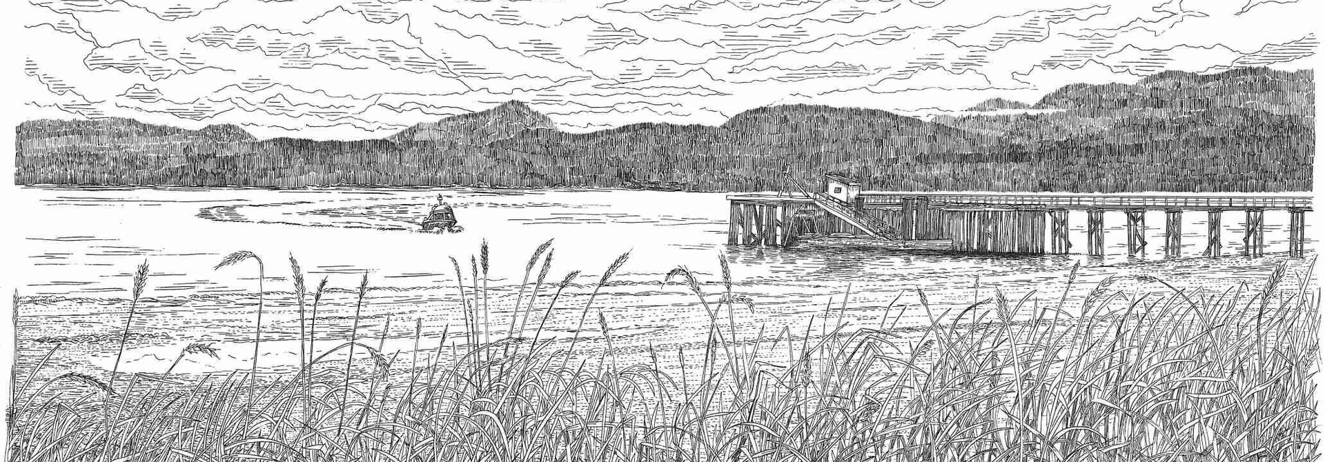 Water Taxi
