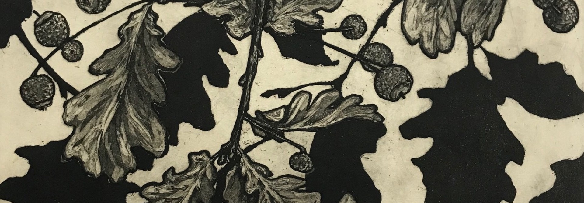 Oak no.4