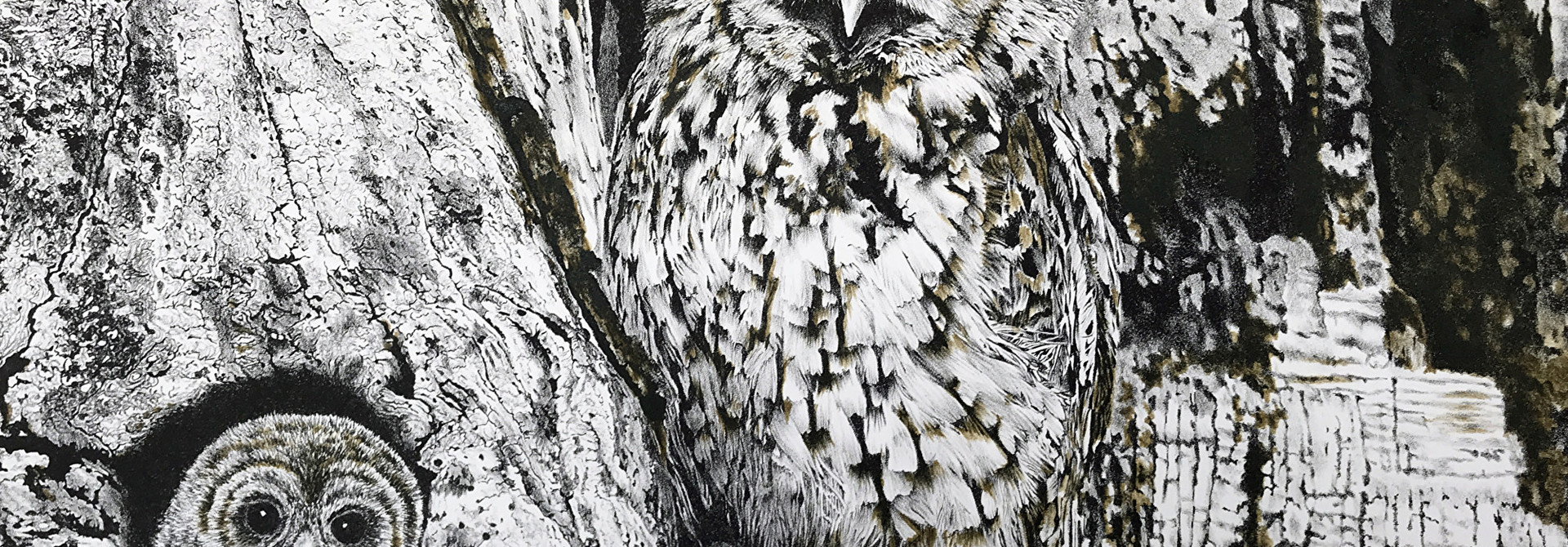 Camouflage