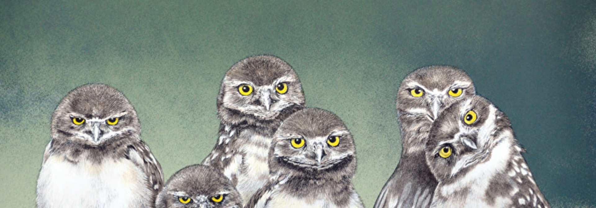 Group of Seven (unframed)
