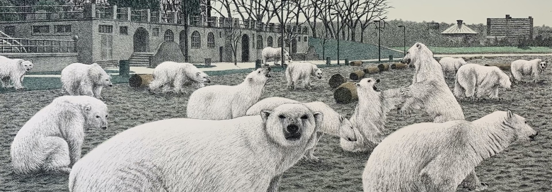 Polar Bear Club