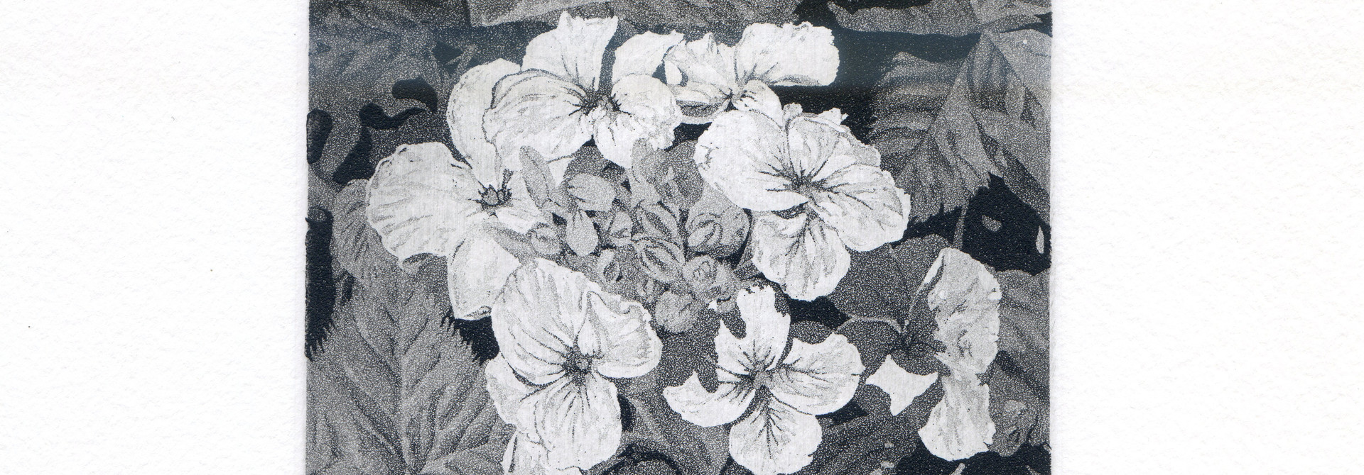 Aquatint workshop
