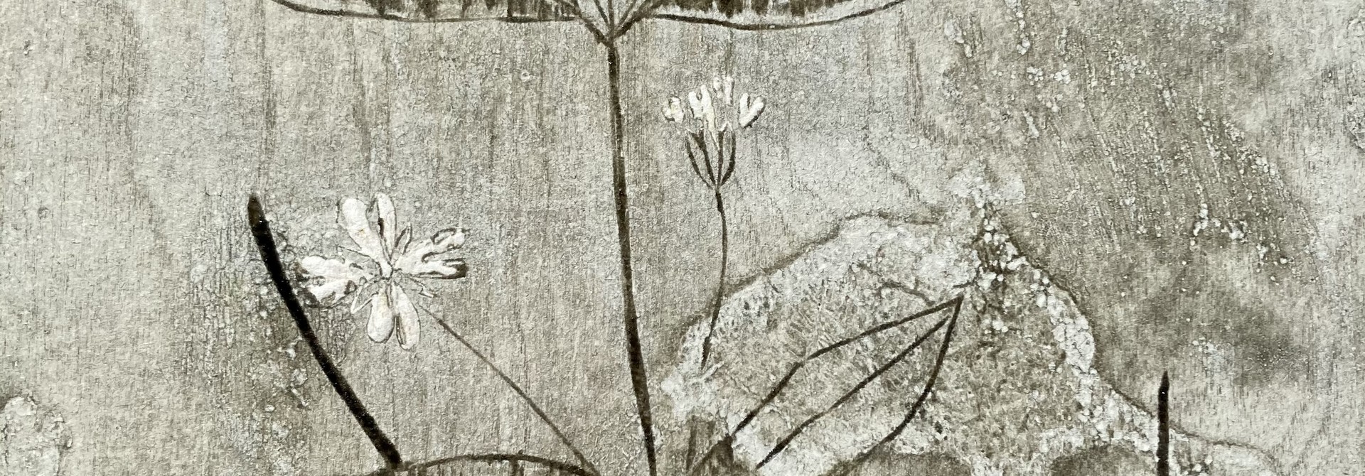 Introductory Woodcut Intaglio | Weekend March