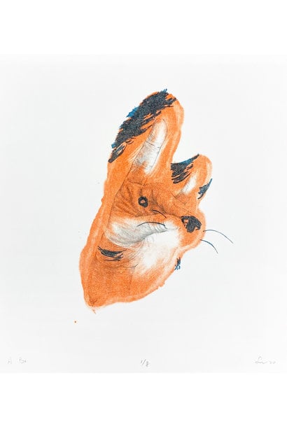 A Fox