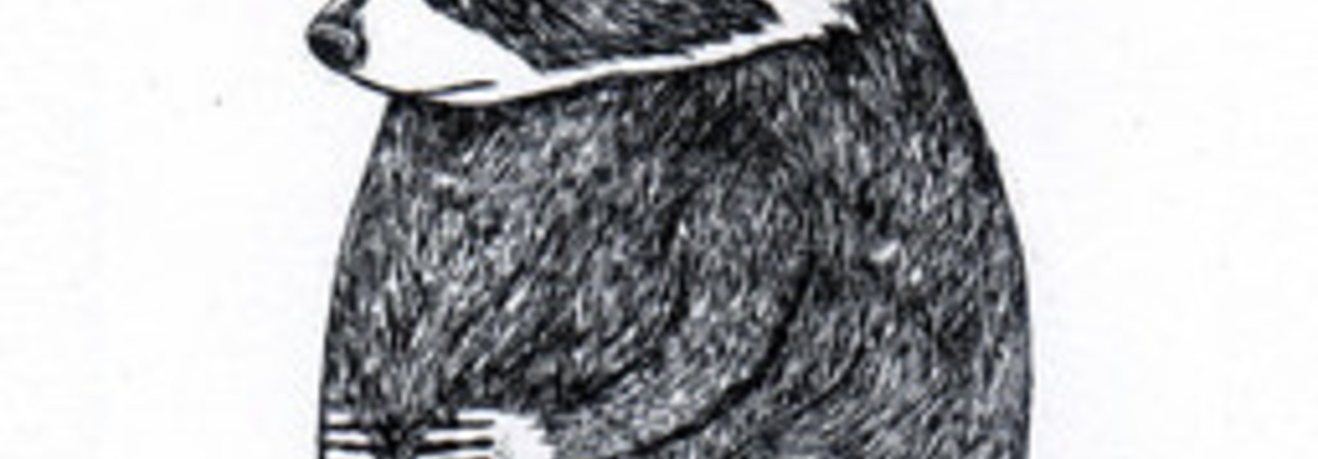Introductory Intaglio | Wednesdays in May