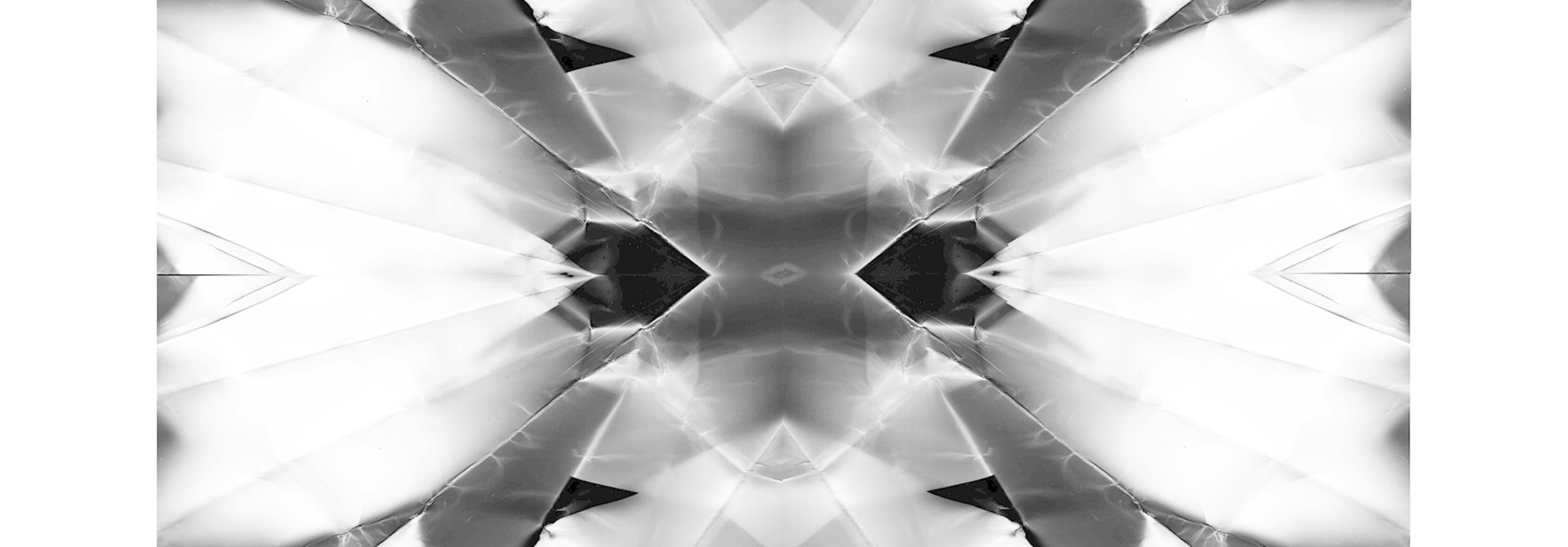 Leaf _1_viii - Framed