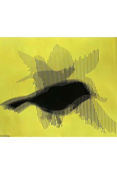 “Murmuration”, ie creative