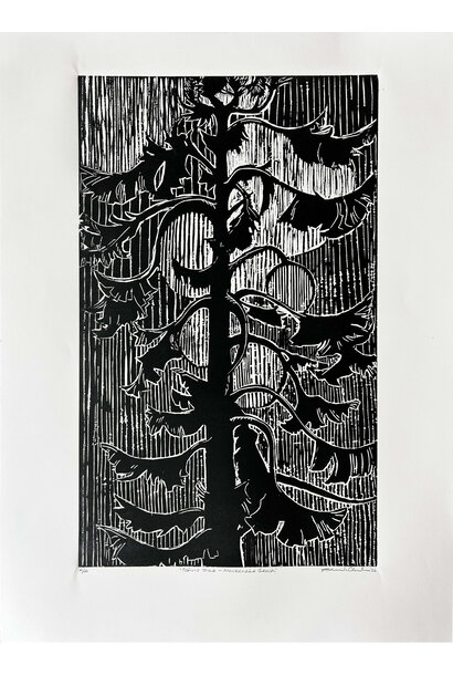 Tofino Tree—Mackenzie Beach