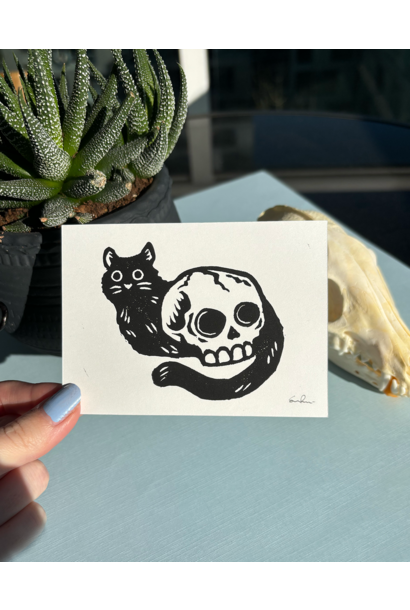 Skull Kitty