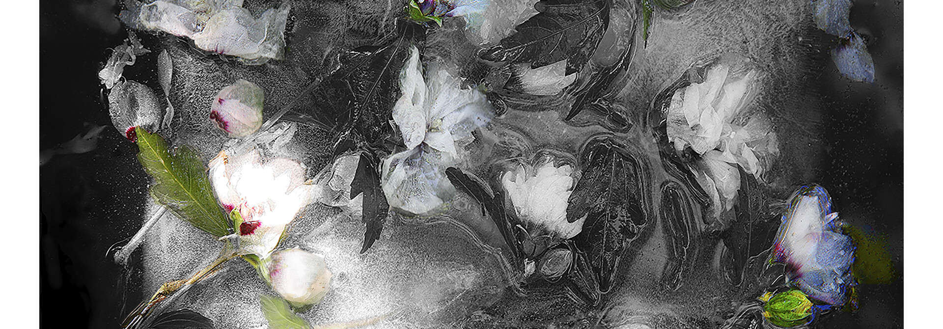 Ophelia