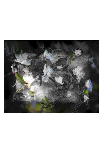 Ophelia