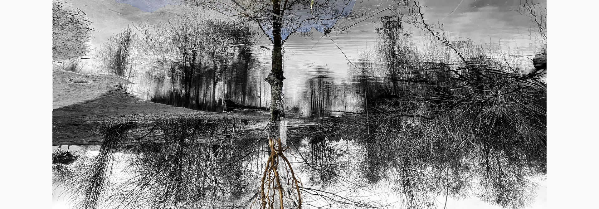 Obscura