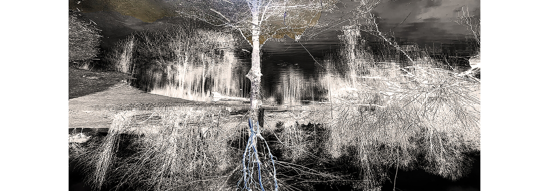 Obscura Inversion