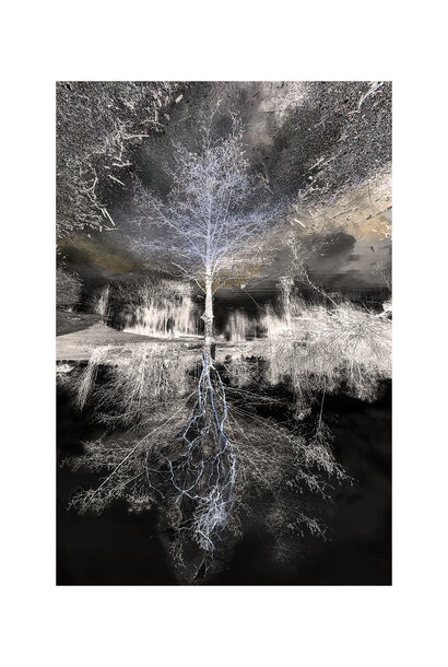 Obscura Inversion