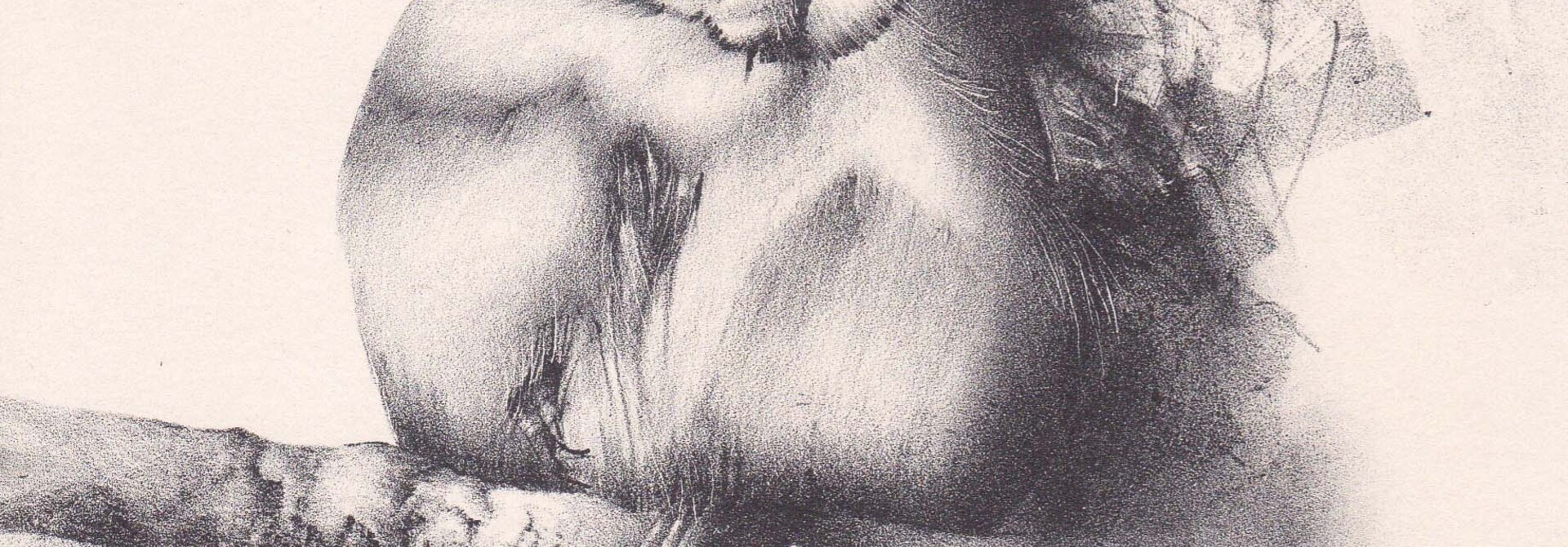 Introductory Stone Lithography | Four Saturdays in September