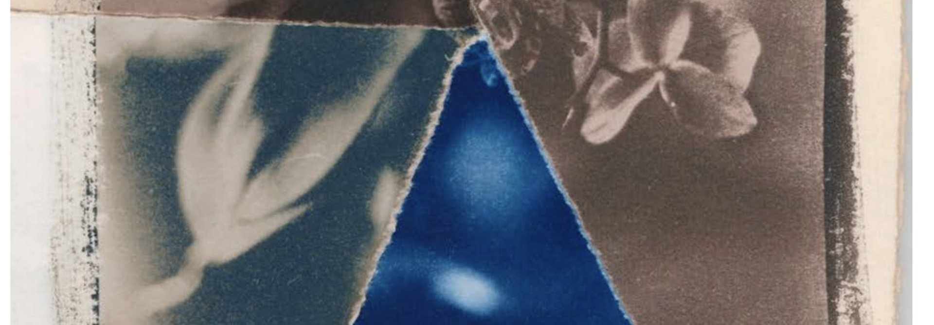 Toning Cyanotypes with Plants