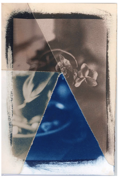 Toning Cyanotypes with Plants- February 6th