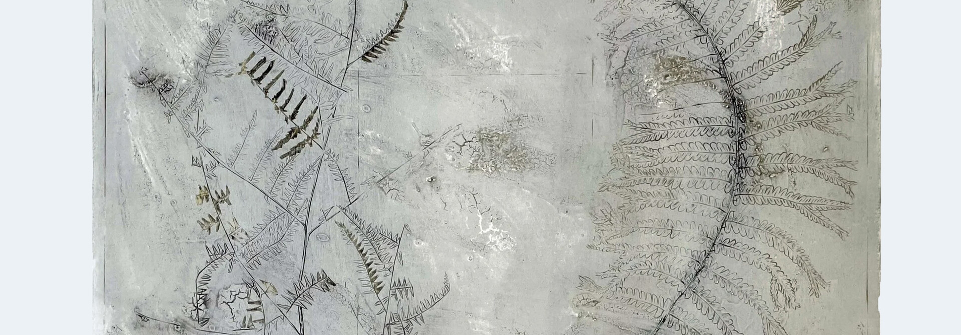 FERNS 1