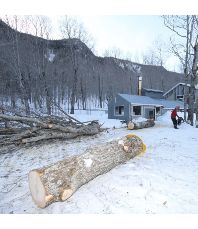 Portable Winch 1295 Choker Chain 2.1m w/ C-Hook & Steel Pin