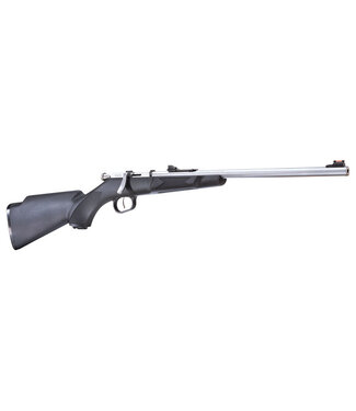 Henry Mini Bolt 22 LR - Bolt - 16.25 - No Mag Stainless