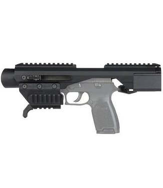 Sig Sauer Sig Sauer Standard Adaptive Carbine Platform