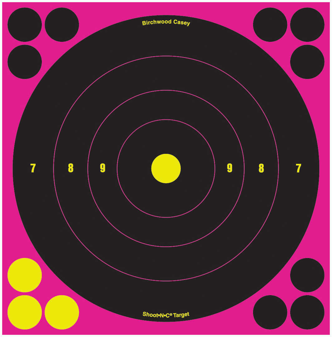 Birchwood Casey Shoot N C 8" Sight In Target 6pk Pink