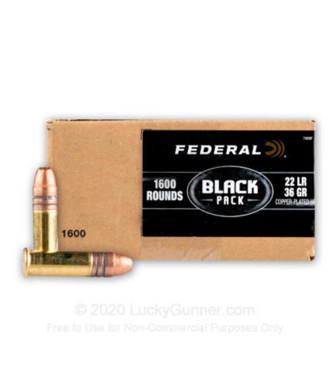 22LR Ammo