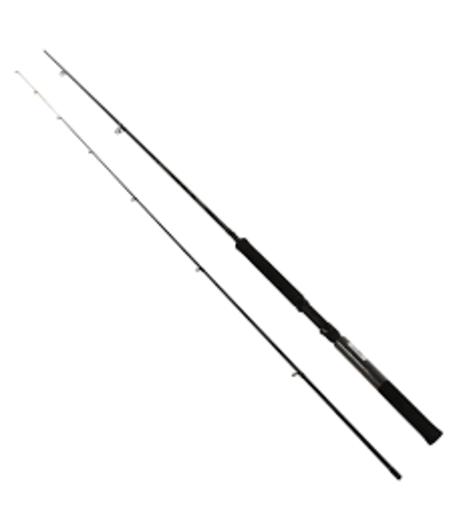 Crappie hunter CHSP102L 10' L Spin Rod