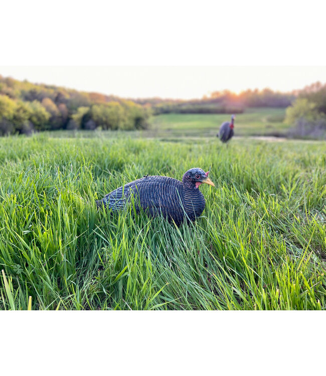 Bone Collector Lay Down Hen Decoy