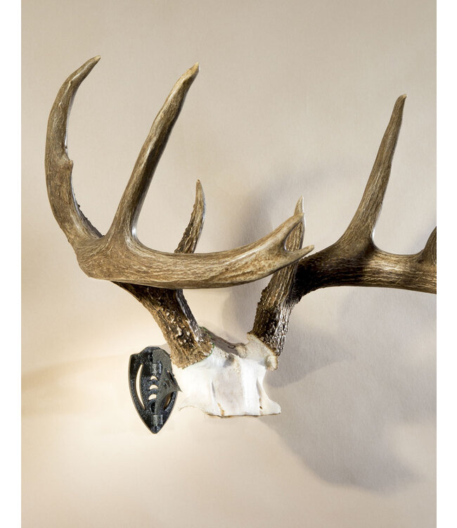 SKULL HOOKER Bone Bracket S/M Skull Cap